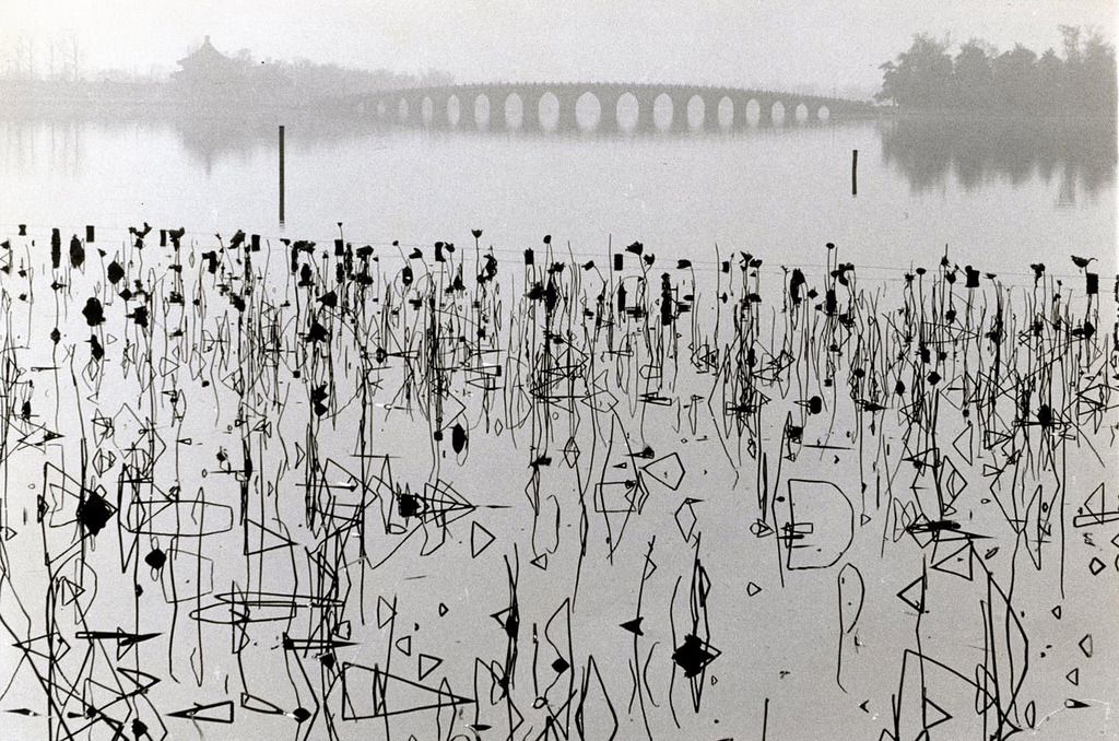 René Burri :: Dead Lotus Flowers on the Kunming Lake, Former Imperial Summer Palace, 1964