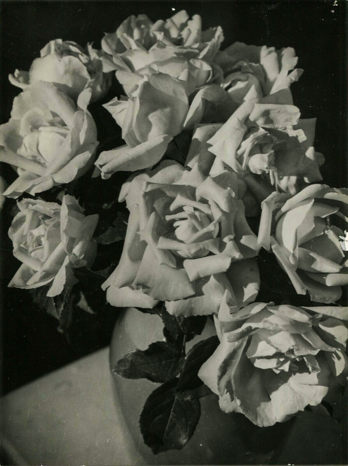 Pierre Auradon :: Étude de Roses. Vintage silver print, ca. 1940. | src eBay