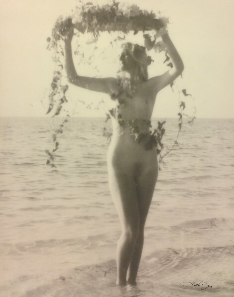 Nell Dorr - Nell Koons :: from "In a Blue Moon", published by G. P. Putnam’s Sons in 1939.