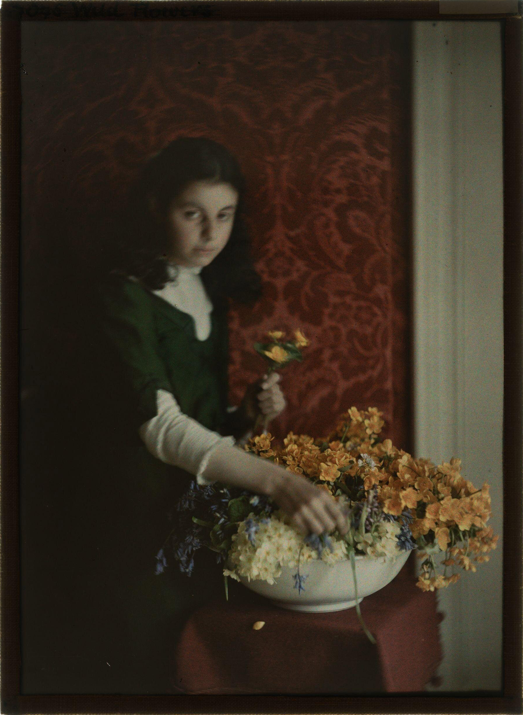 John Cimon Warburg :: Wild Flowers, ca. 1910. Autochrome. Photograph of Joan, the photographer's daughter, shown three-quarter length, standing in front of red wall paper. | src V&A Museum