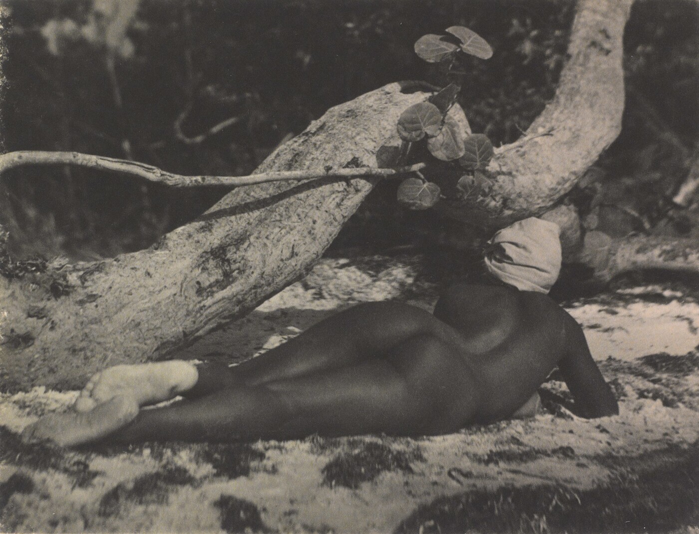 Nell Dorr (1893-1988); [Nude on beach, back view]; ca. 1929; Gelatin silver print; Amon Carter Museum of American Art; Fort Worth, Texas; Bequest of Nell Dorr; P1990.45.309   