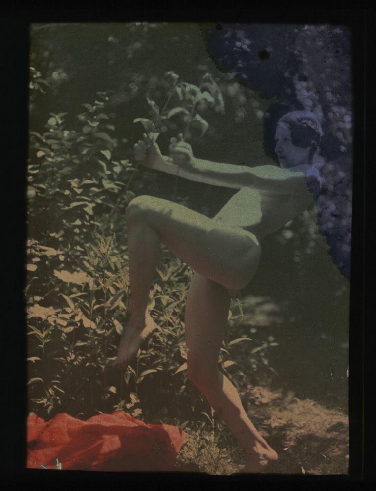 Ernest-Louis Lessieux :: Tatiana posant nue de profil dans un jardin (titre factice), plaque de verre autochrome, après 1907. Conseil des musées. Le musée de l'île d'Oléron
