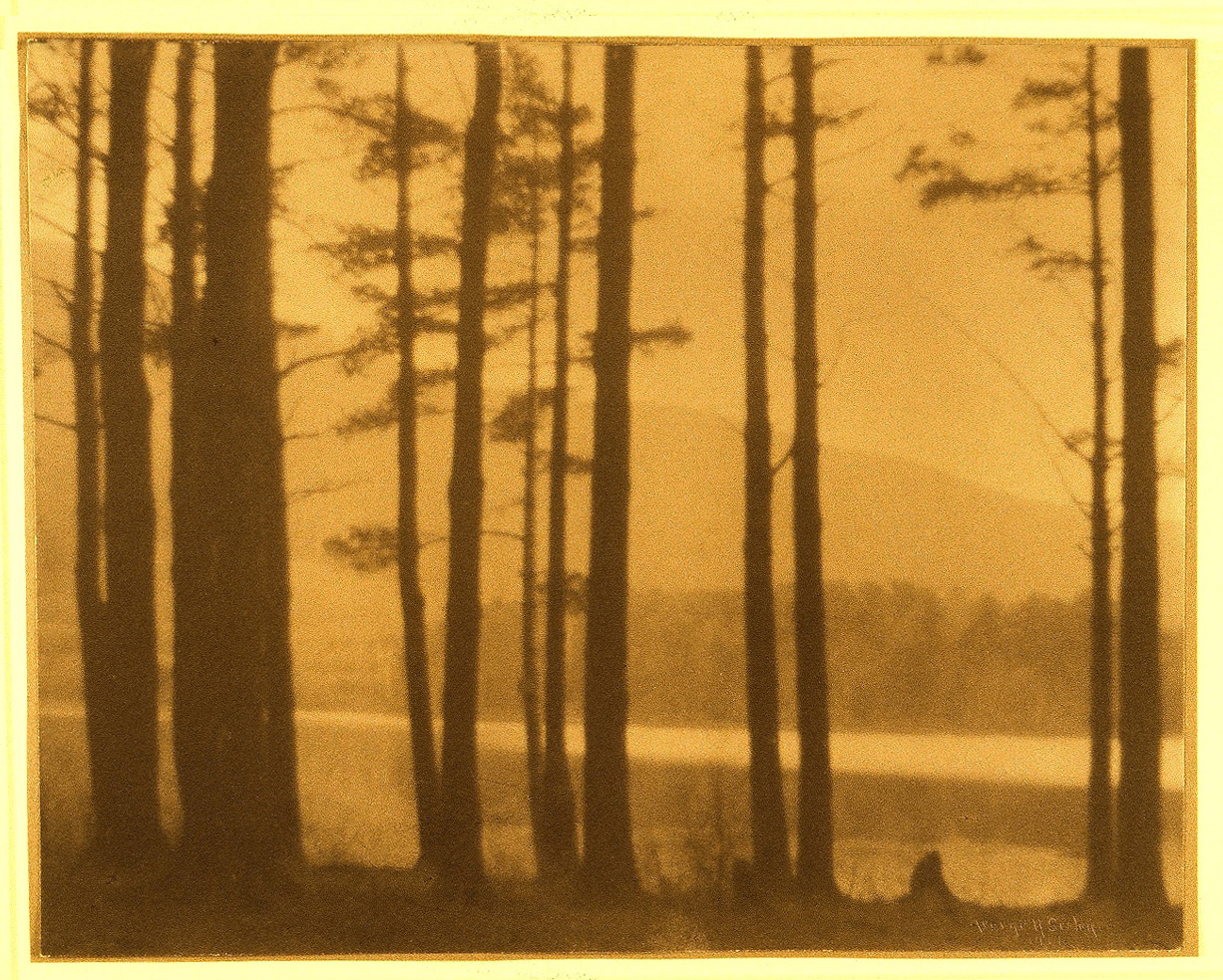 George H. Seeley :: Silhouettes of trees before a lake, ca. 1917. Platinum print. Lee Gallery. | src Luminous Lint LL/24559