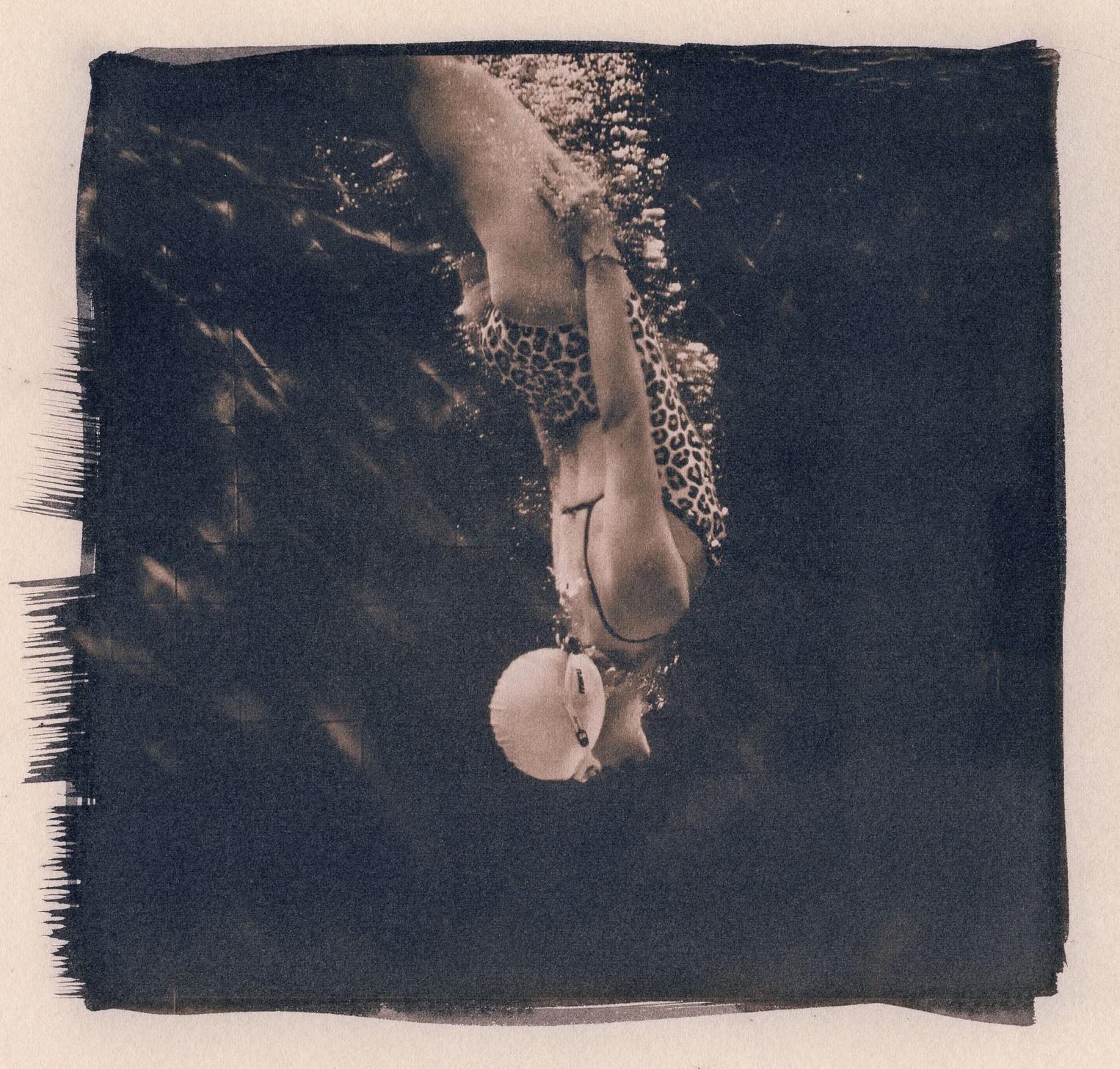 Rosalind Hobley :: Swimmer. Cyanotype print toned in tea and coffee. | Rosalind Hobley Facebook page