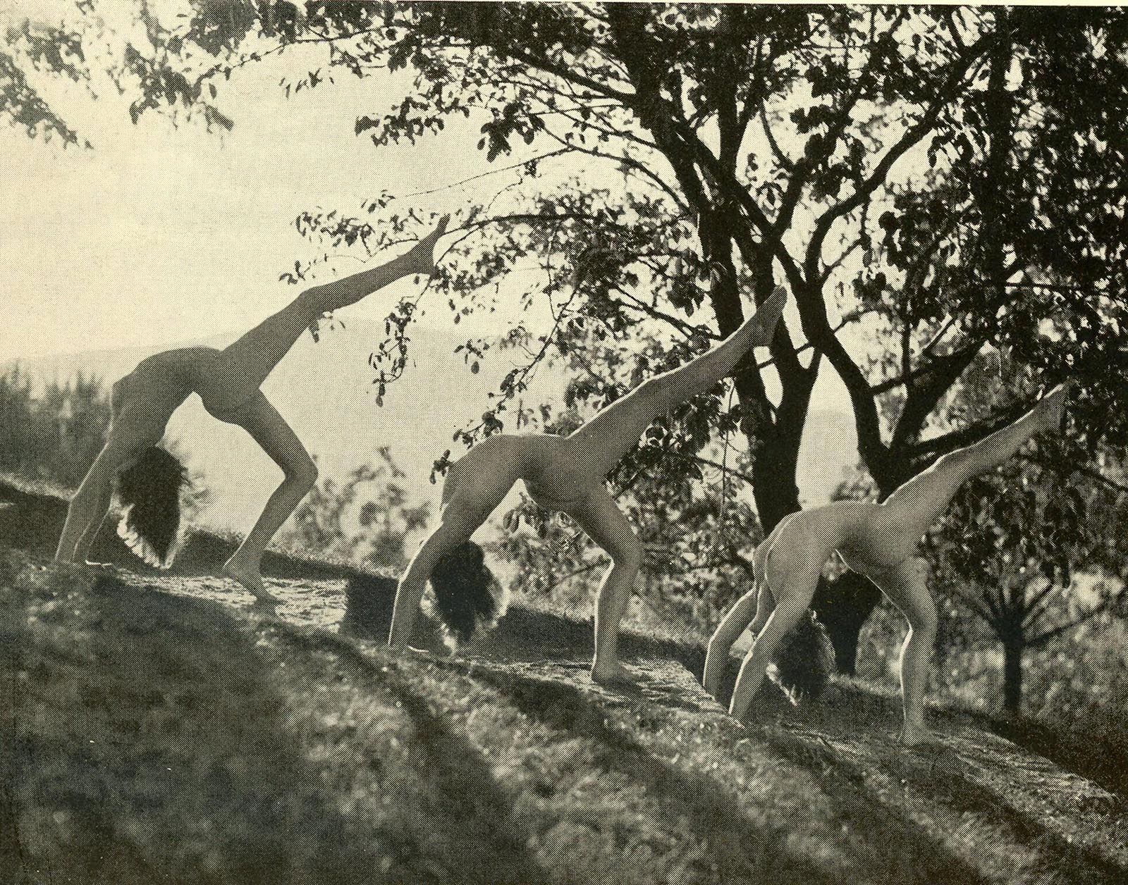 Paul Jsenfels :: Nudes, Stuttgart Dance School. Photoengraving. Printed in 1927. | src liveauctioneers