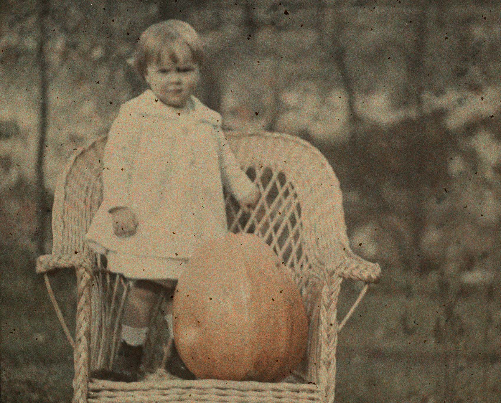 Jan Zdzisław Włodek :: Jan Marian Włodek with a pumpkin at the age of approx. 3 years old, standing in a wicker armchair in the garden of the Włodków villa, Kraków, 1927. 