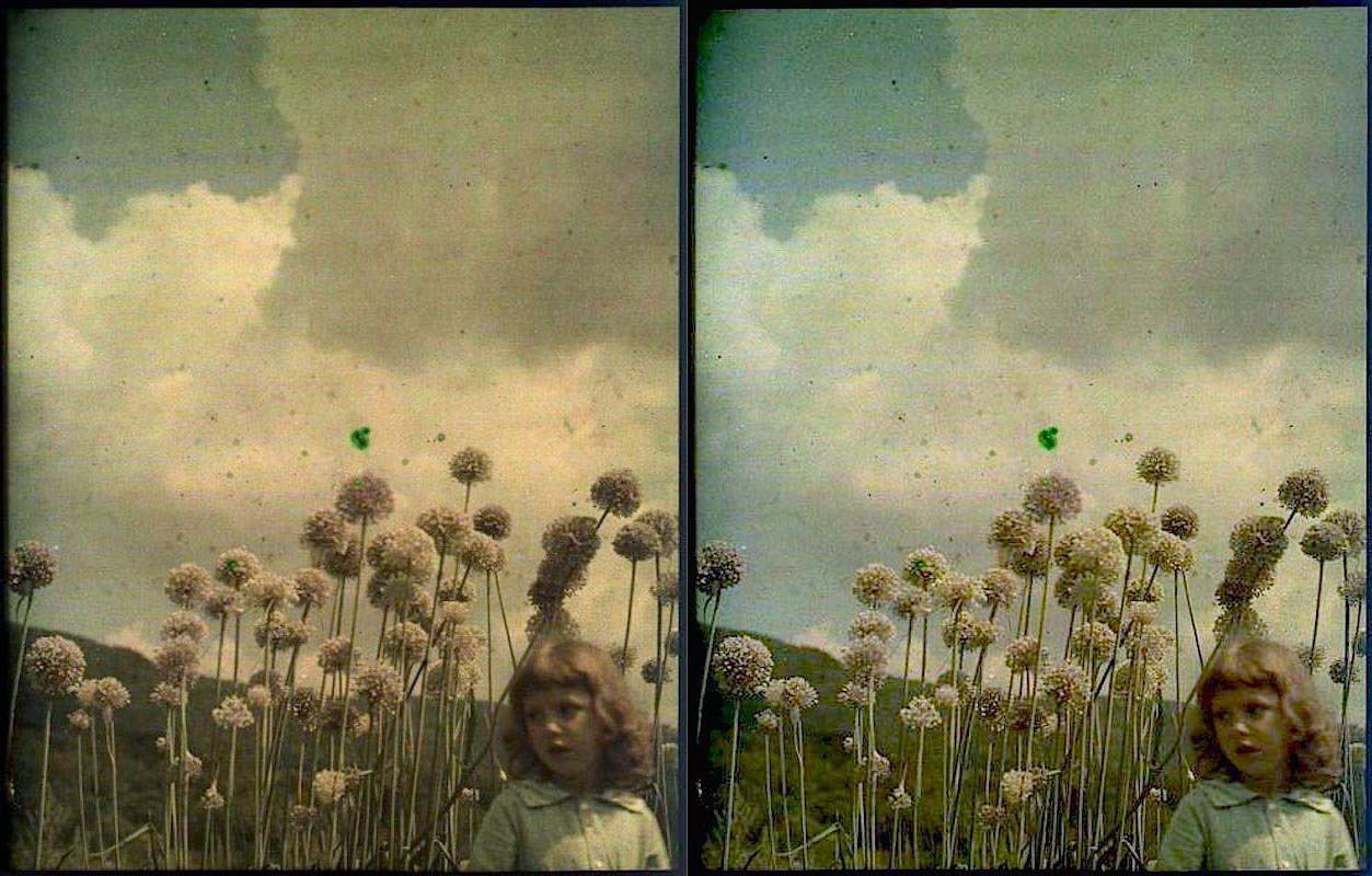Thomas Shields Clarke :: Autochrome, circa 1910 / src El hayedal del señor Jordà (la camara bufa / blogspot)