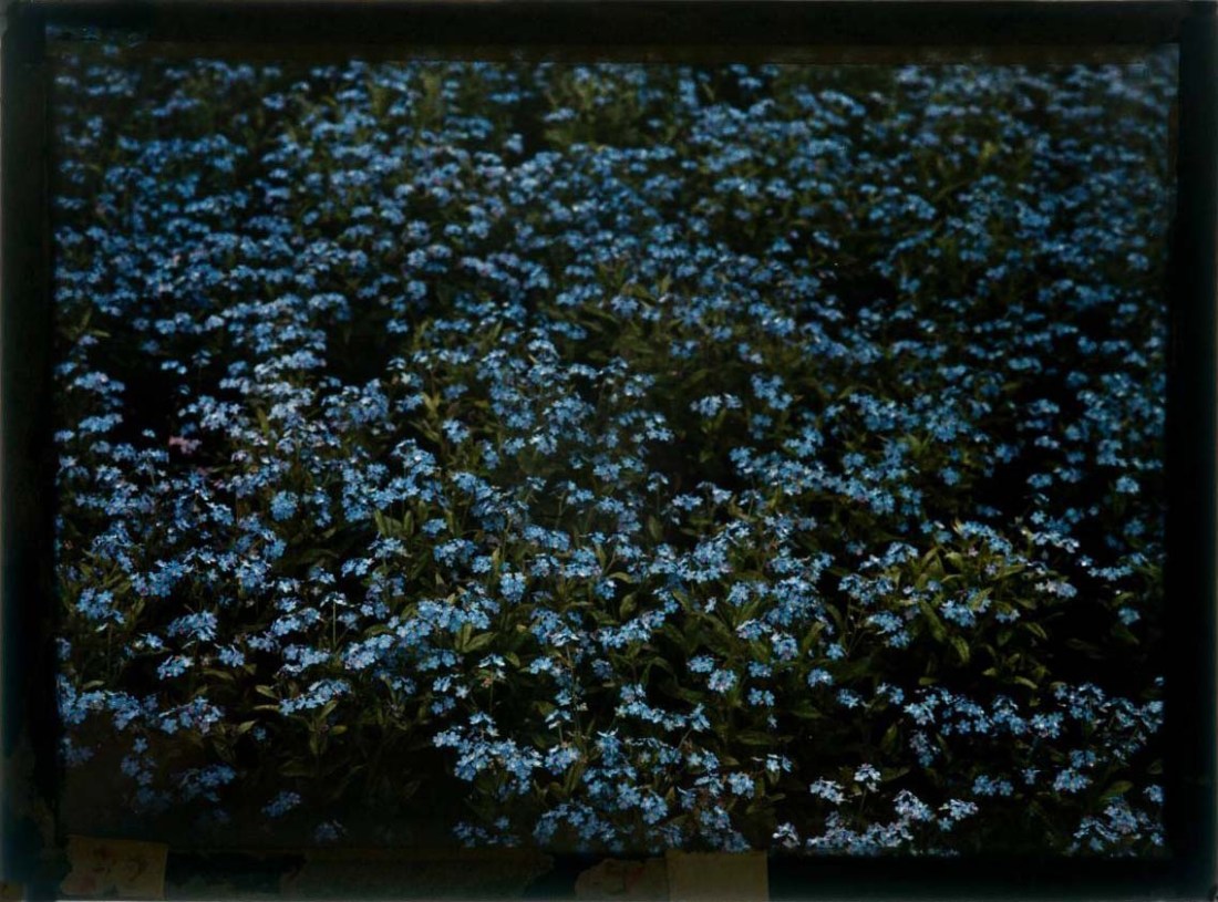 Gustaf Wernersson Cronquist (Sverige, 1878 - 1967) :: Titel saknas, ca. 1925. Autokrom. | src Moderna Museet