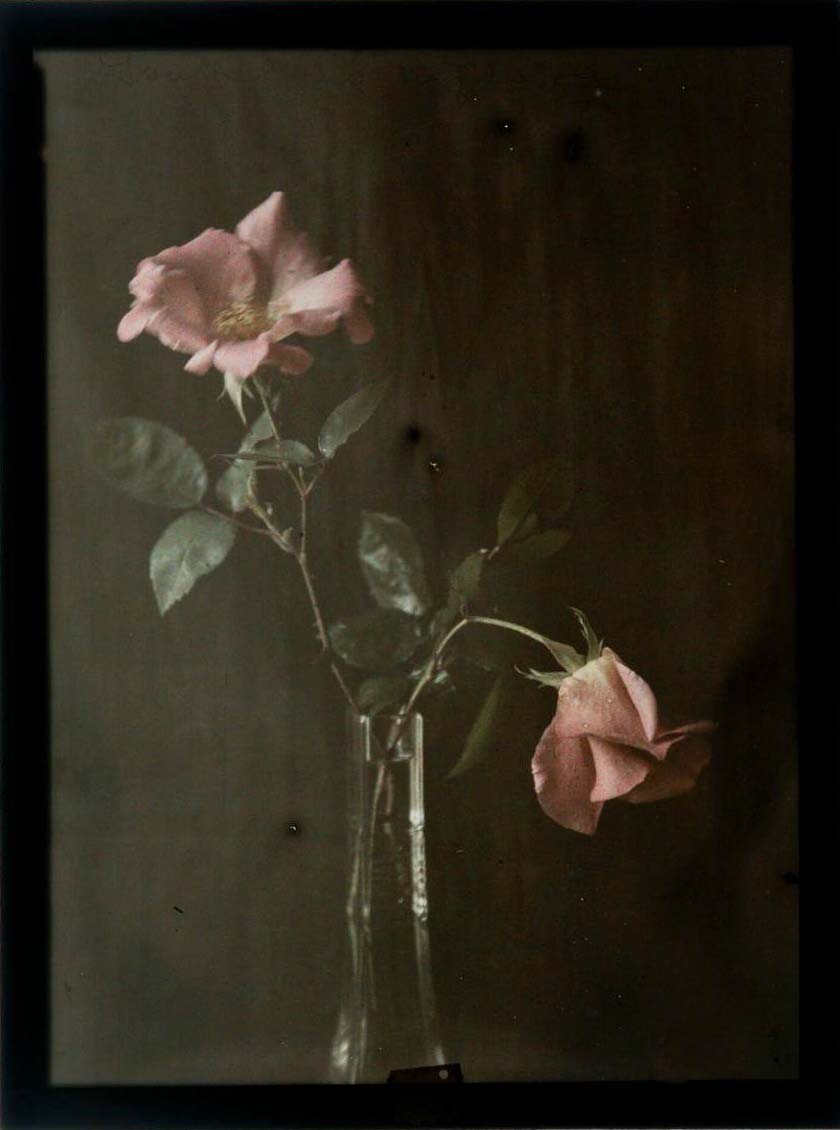 Gustaf Wernersson Cronquist (Sverige, 1878 - 1967) :: Titel saknas, ca. 1920. Autokrom. | src Moderna Museet