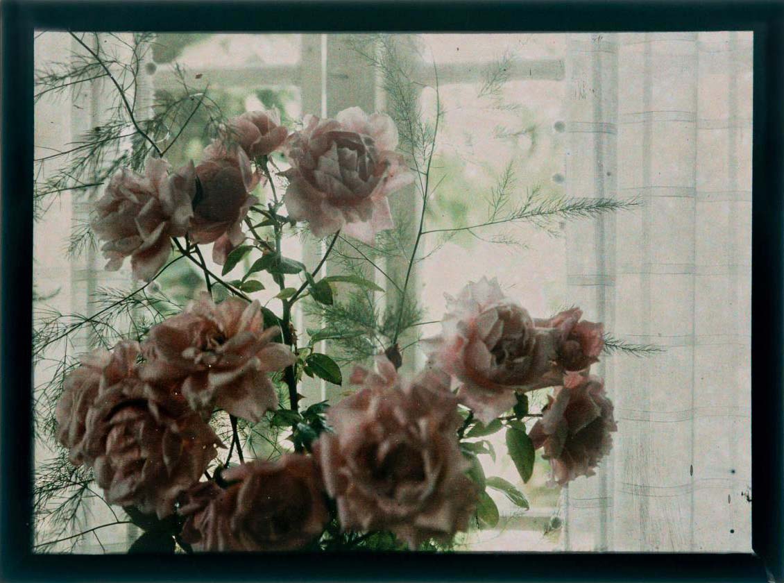 Gustaf Wernersson Cronquist (Sverige, 1878 - 1967) :: Titel saknas, ca. 1925. Autokrom. | src Moderna Museet