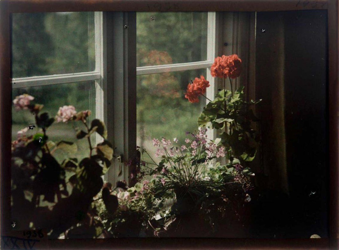 Gustaf Wernersson Cronquist (Sverige, 1878 - 1967) :: Titel saknas, 1938. Autokrom. | src Moderna Museet