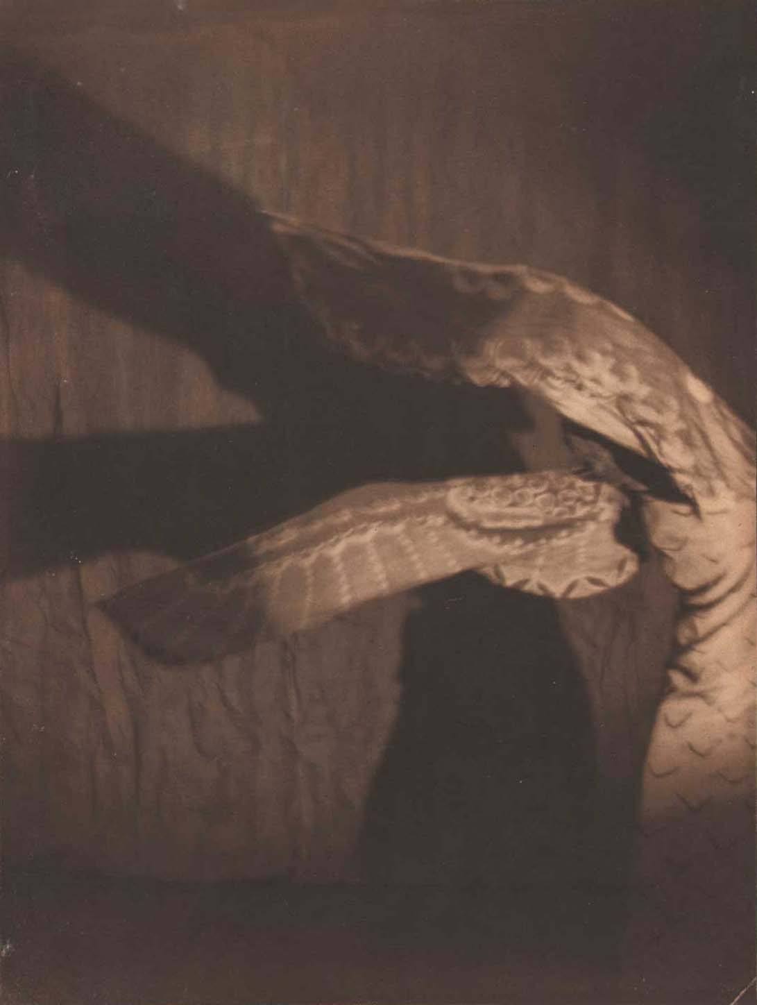 Delight Weston :: Dancing Wings in the Shadows, 1927. Palladium print. | src Photoseed