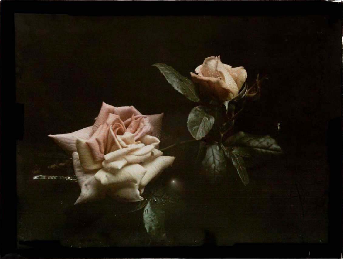 Gustaf Wernersson Cronquist (Sverige, 1878 - 1967) :: Titel saknas, 1922. Autokrom. 