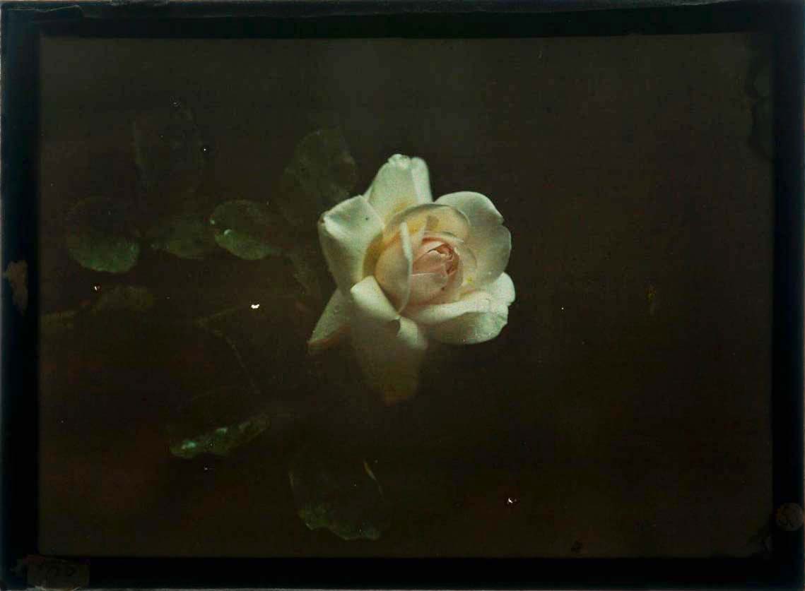 Gustaf Wernersson Cronquist (Sverige, 1878 - 1967) :: Titel saknas, ca. 1920. Autokrom. 