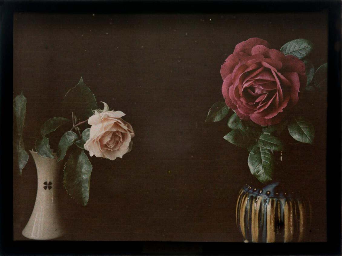 Gustaf Wernersson Cronquist (Sverige, 1878 - 1967) :: Titel saknas, ca. 1925. Autokrom. | src Moderna Museet