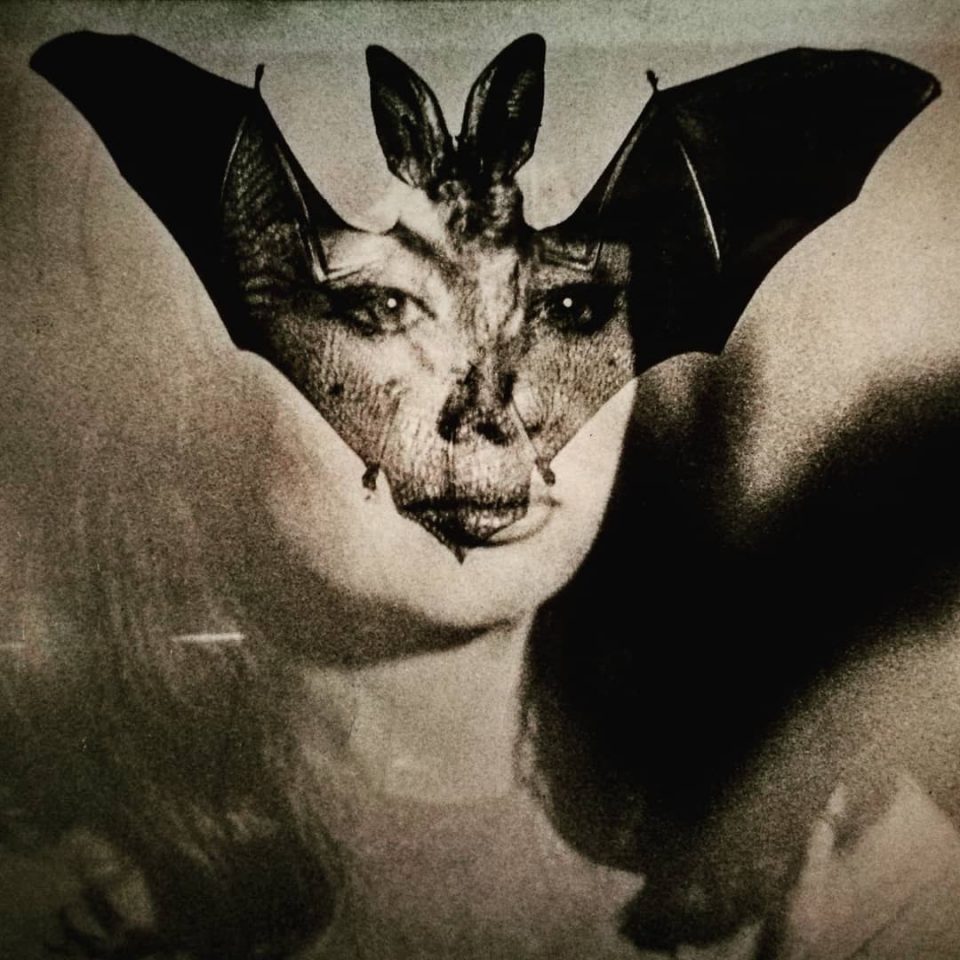 Pablo Volta :: Ornella Volta, prove per le illustrazioni de Le vampire – Il vampiro, pubblicato prima in Francia (Pauvert, Paris 1962) e poi in Italia (Sugar, Milano 1964). | src Fabio Giovannini