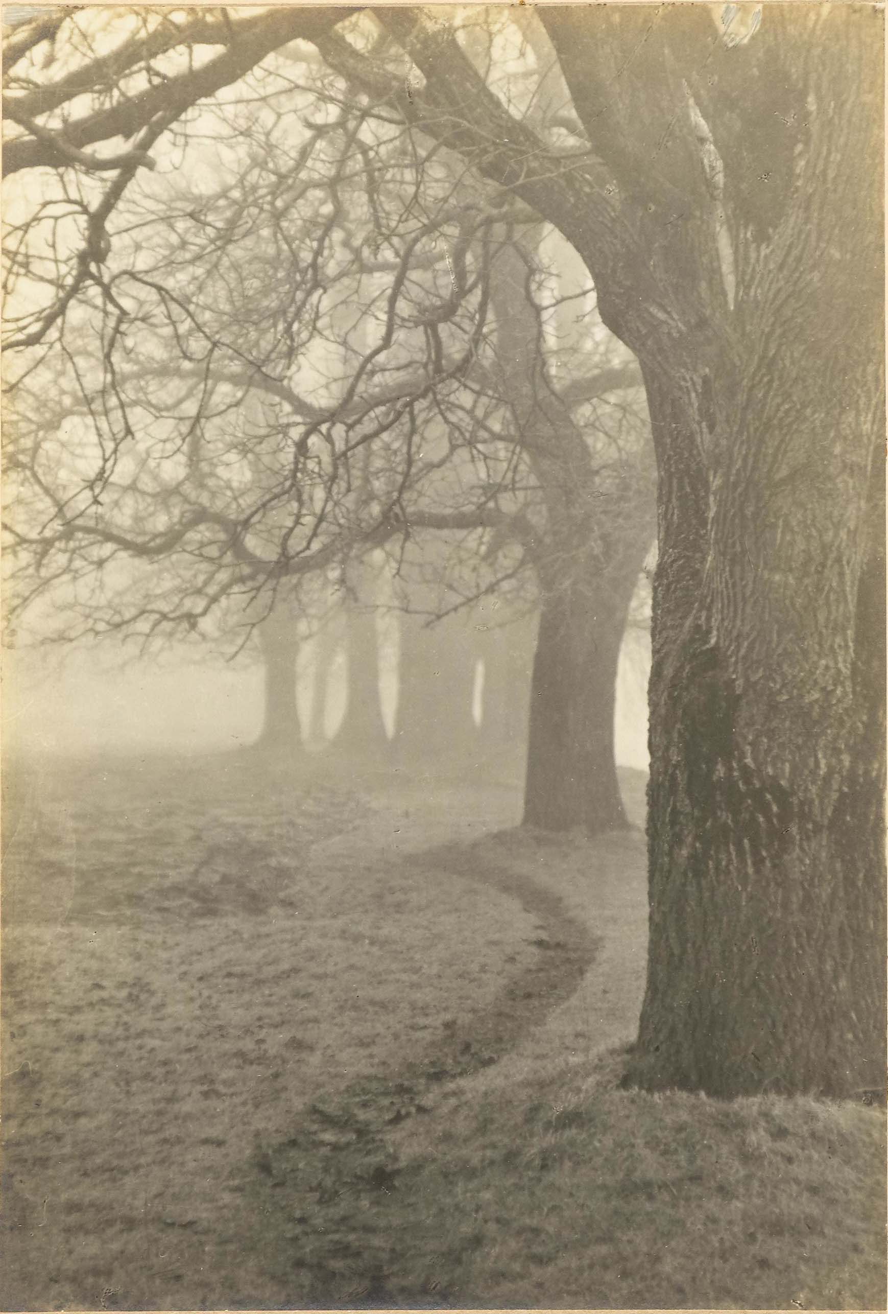 Albert Steiner :: Stiller Weg [Silent Path], um 1930. Silbergelatine-Abzug. Auf Träger signiert und betitelt. | src Koller Auktionen