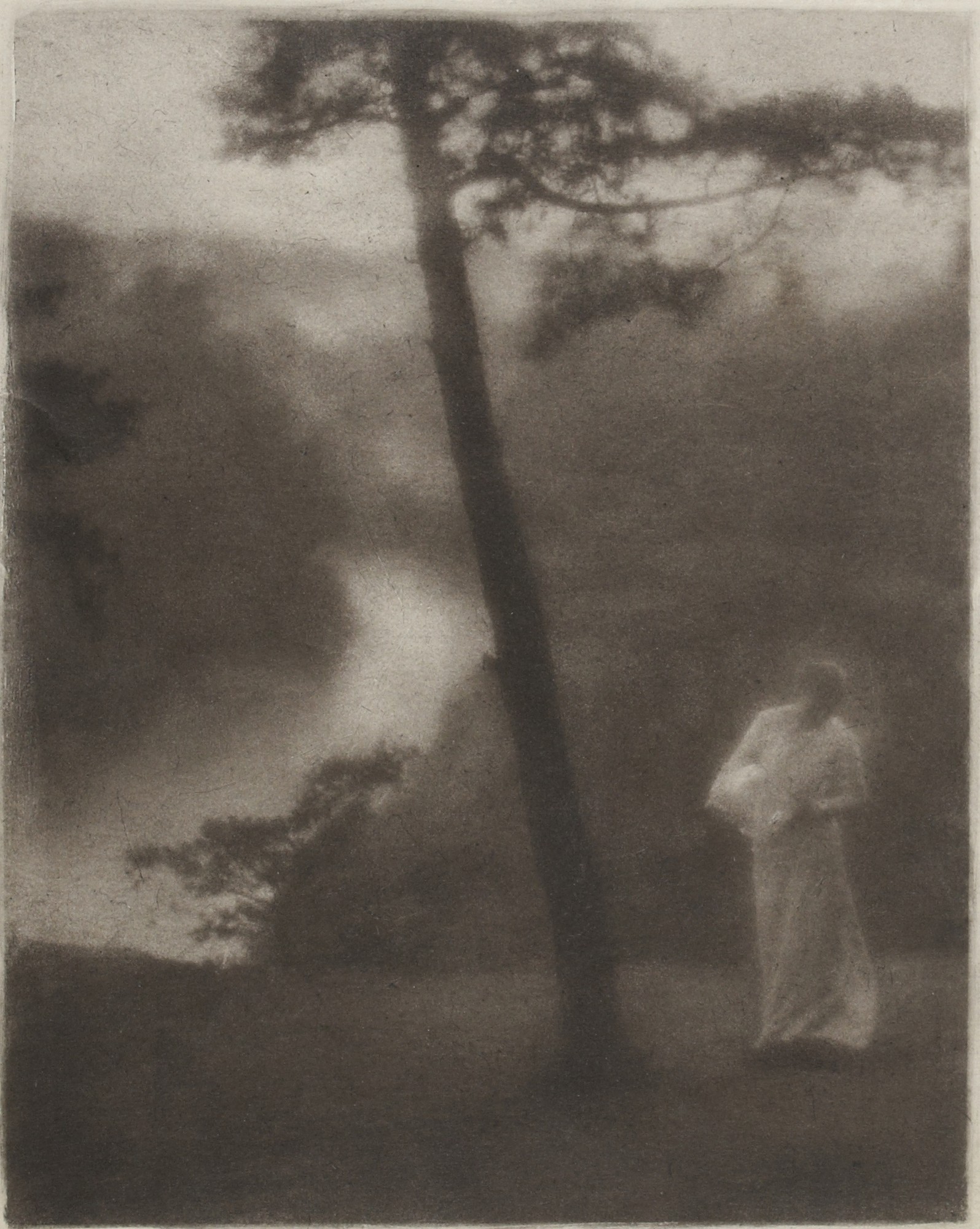 Clarence Hudson White :: Morning, 1905. Gum bichromate print. | src Princeton University Art Museum