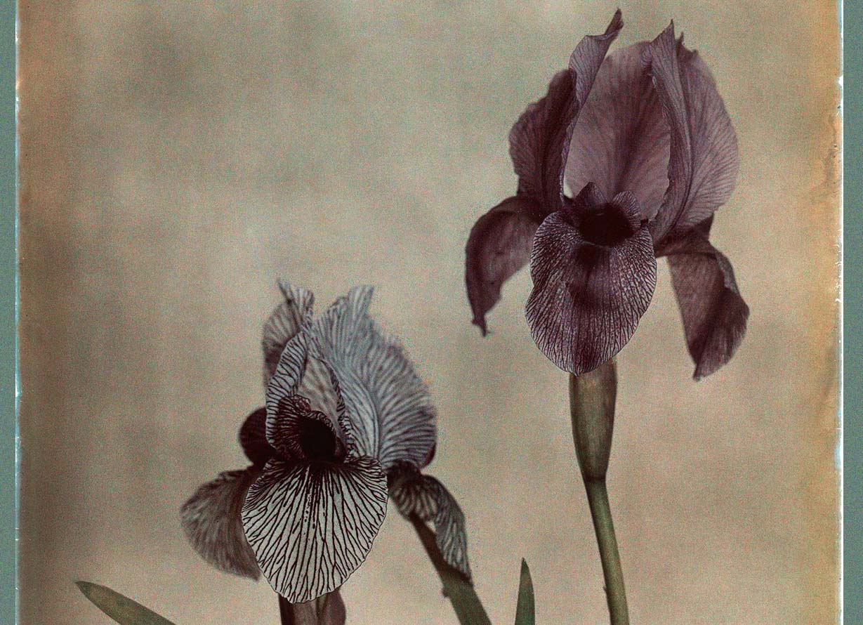 Lendeert Blok (1895-1986) :: Iris, Ismene / Uma, 1920-1930. Autochrome. | src Moors Magazine and ODLP | Detail