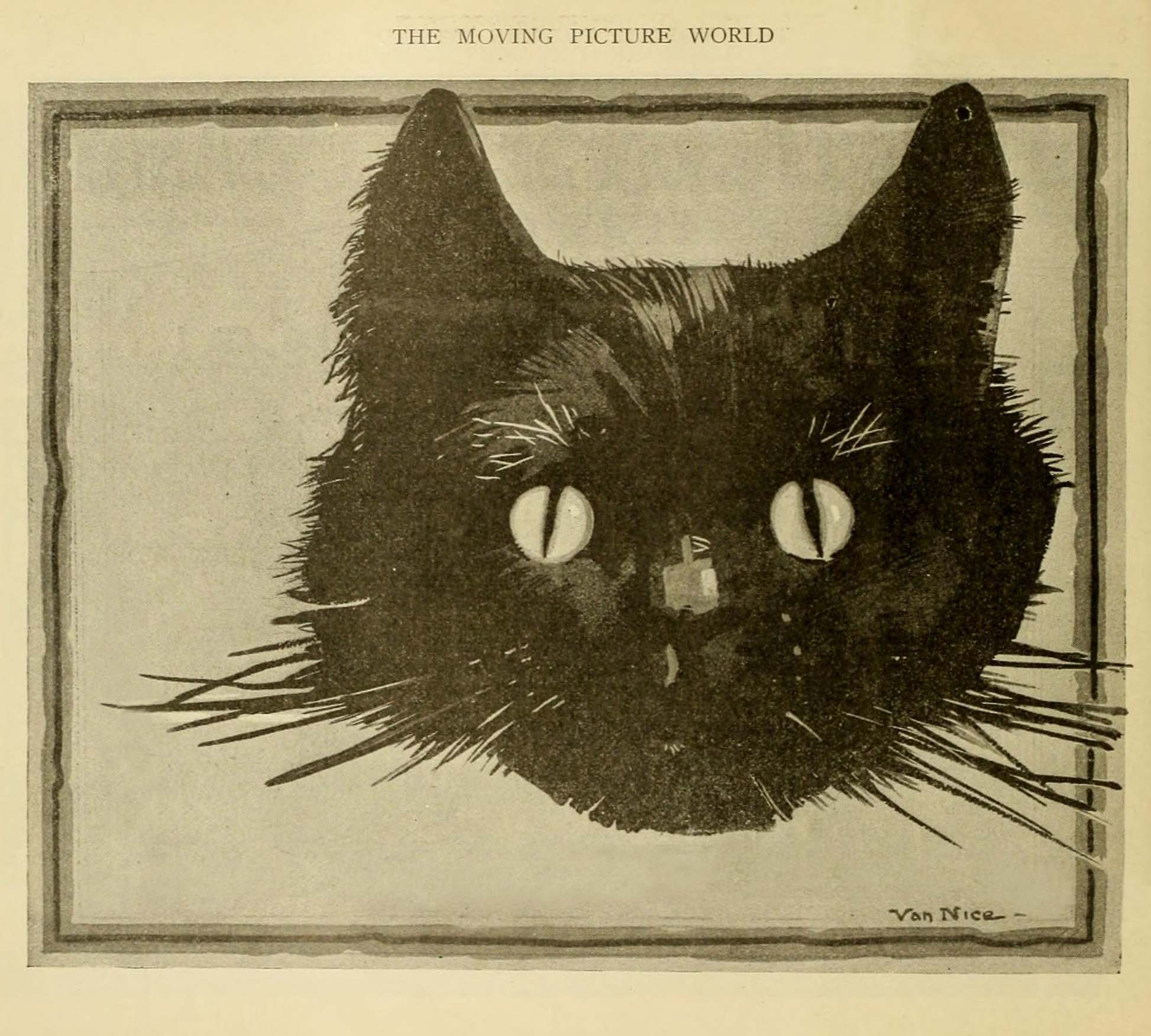 Advertisement for Black Cat General Film Services. The Moving Picture World, November 1916 (DETAIL)
