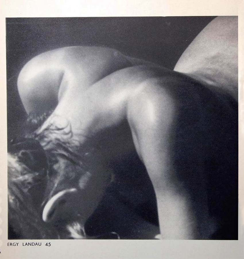 Ergy Landau :: From : Fprmes Nues, 1935. | src Worthpoint