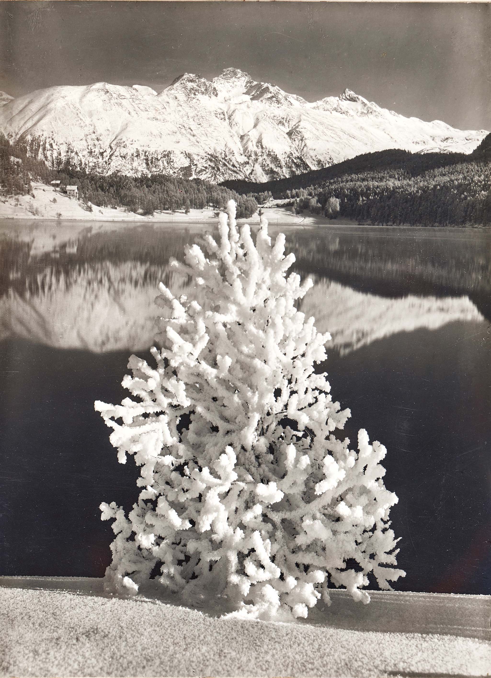 Albert Steiner (1877-1965) :: November morning at Lake St. Moritz. Gelatin silver print. | src Dobiaschofsky Auktionen