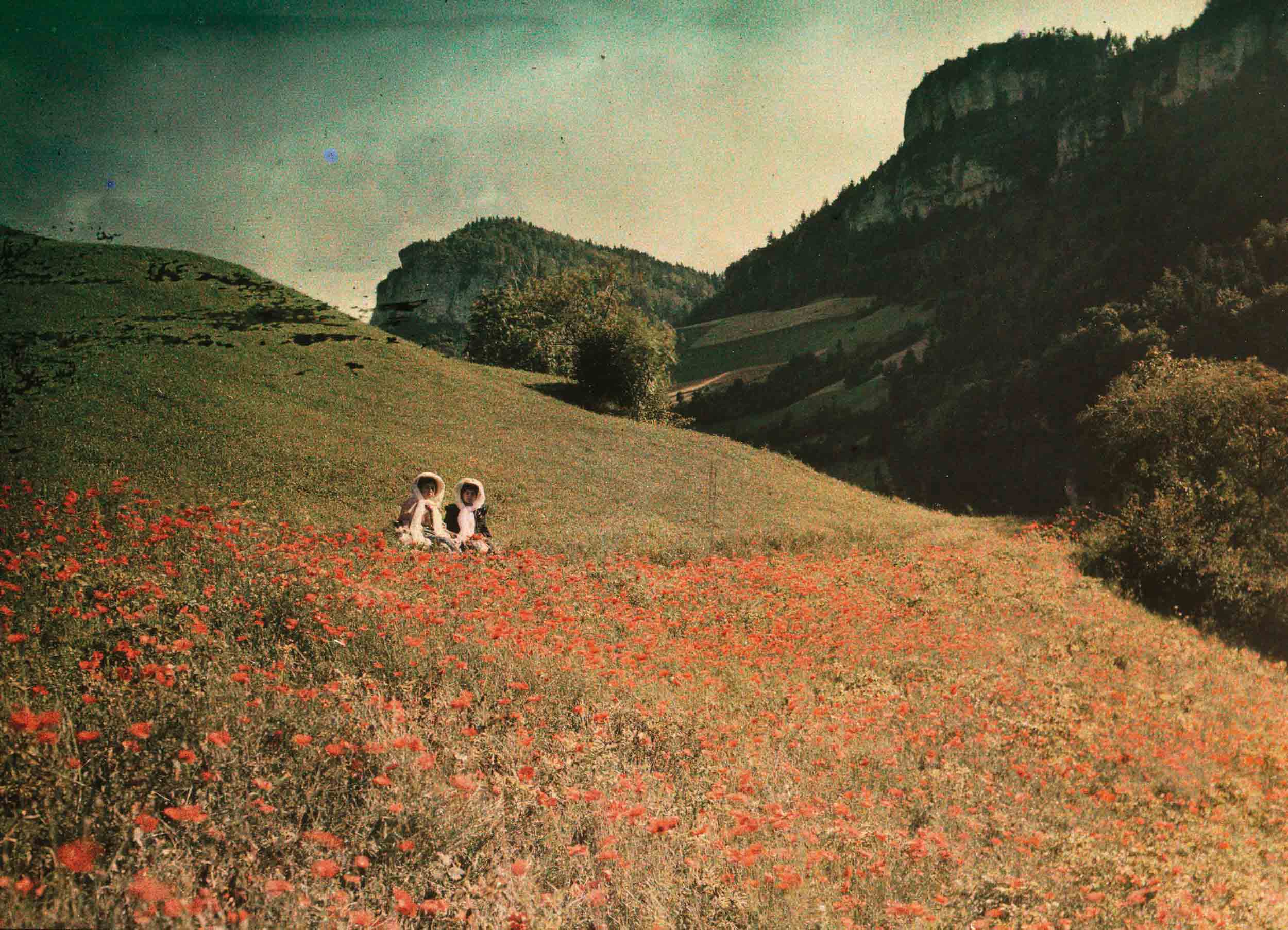 Anonyme. Dans les champs de coquelicots (s.d.) Autochrome. © Collection AN | src Jeu de Paume: 1, 2, 3... couleur!