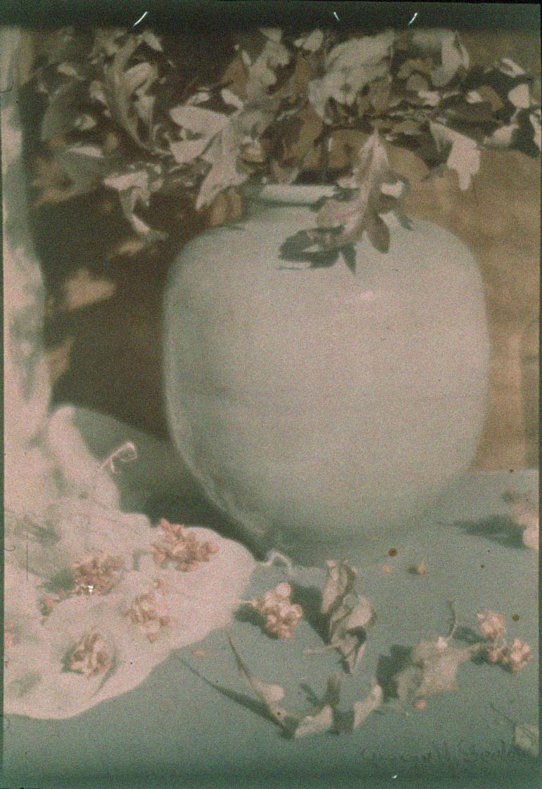 George H. Seeley :: [untitled] undated Autochrome. Private collection of John Wood. LL/8978 | src Luminous Lint