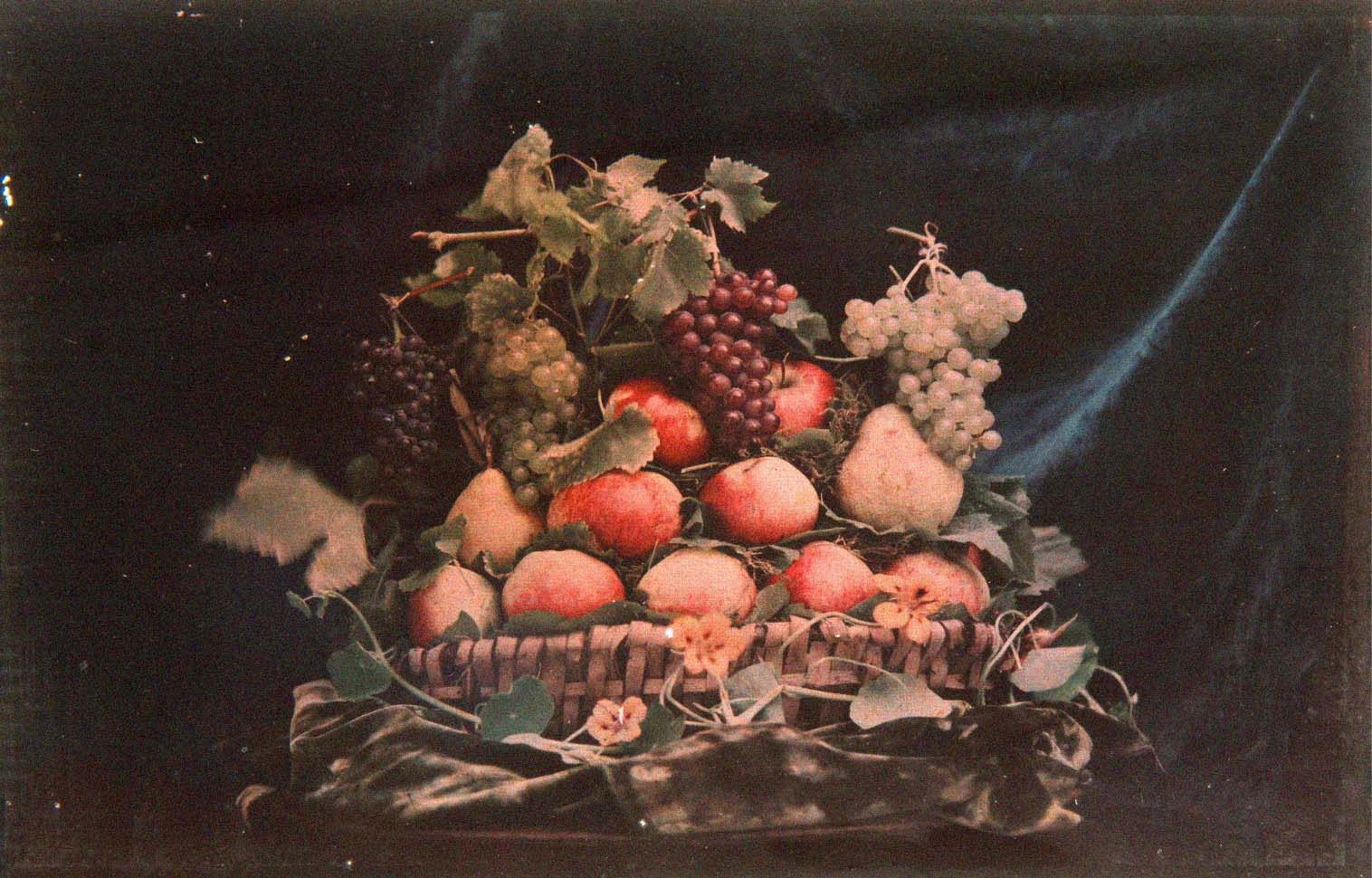 Henry-René d’Allemagne (1863-1950) et divers :: Composition végétale, ca. 1910. Autochrome. | src Ader