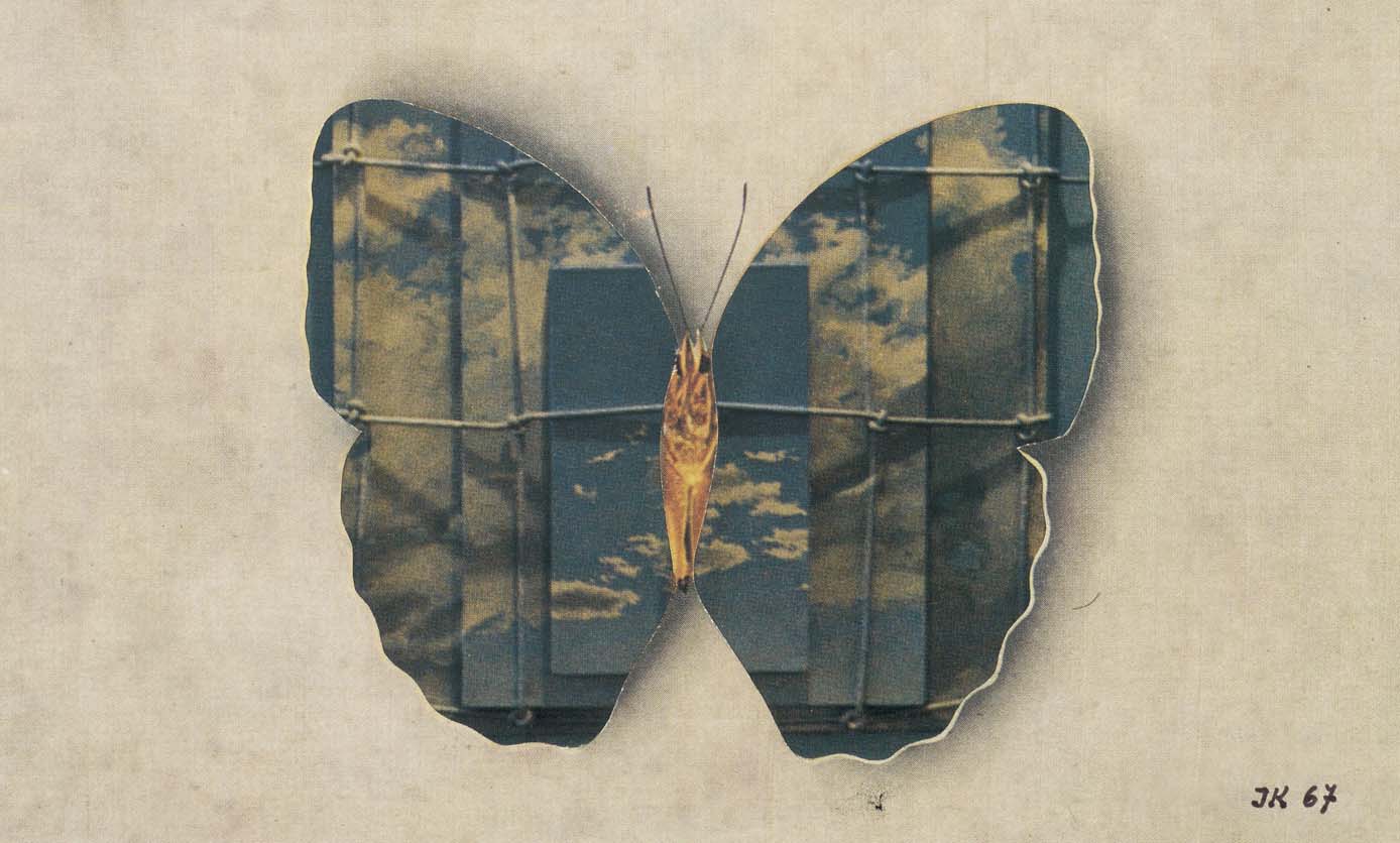 Jiri Kolar :: Butterflies, 1967. Collage of color offset prints fully mounted on cardboard. | Detail