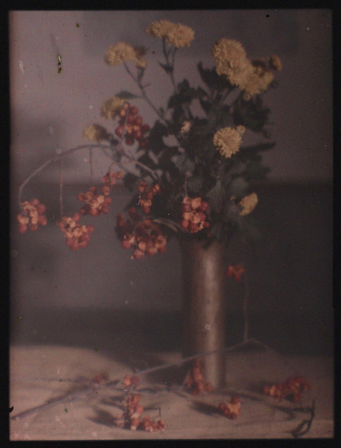 Karl Struss (1886-1981); Still Life with Pewter Vase, New York; ca. 1910; additive color screen plate; Amon Carter Museum of American Art, Fort Worth, TX; P1983.24.52