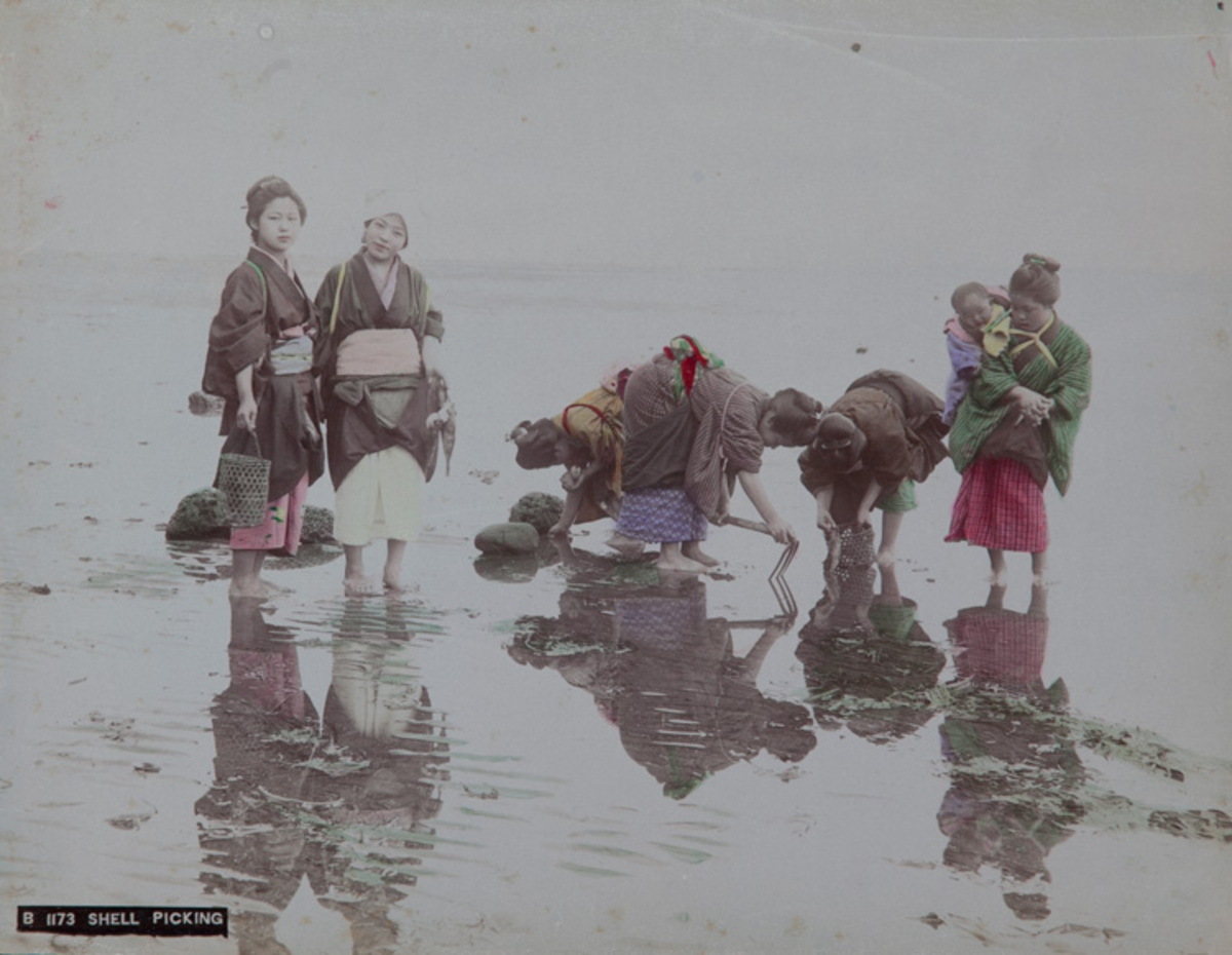 Meiji Era Hand Colored Japanese Albumen Photograph "B 1173 Shell Picking"; ca. 1880s. | src David Pollack Vintage Posters