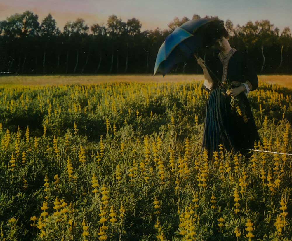 Nicola Perscheid :: Ms. Änne Jungmann in the lupins, ca. 1900. Pinatype. | src MK&G
