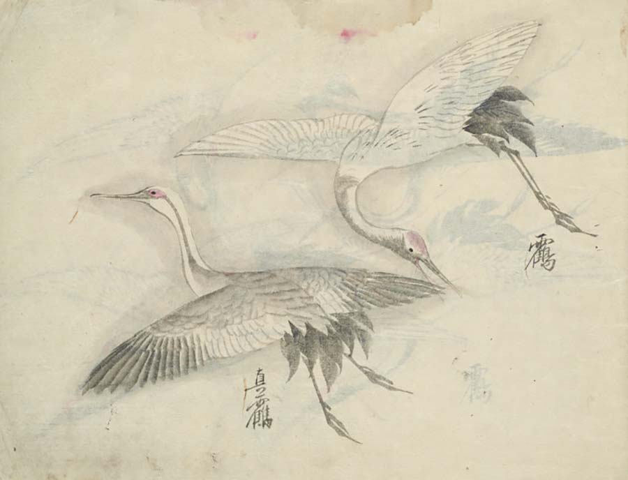 Ornithological manuscript with 58 mostly colored bird gouaches. Japan, Meiji 13 (ca. 1880) | src Jeschke van Vliet Auktionen
