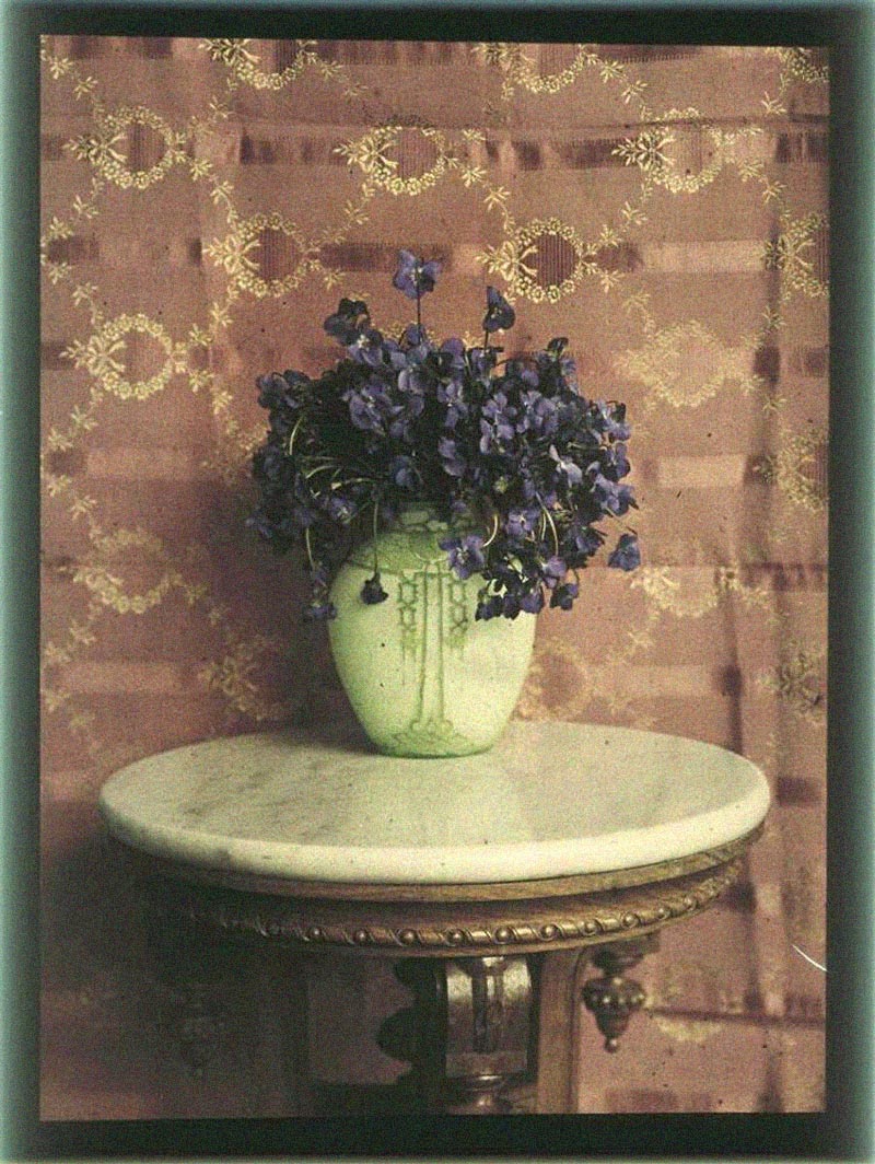 Piotr I. Vedenisov (1866-1937) :: Flowers in a vase, 1910s. Autochrome. From: Primrose • Russian Colour Photography. | src MAMM
