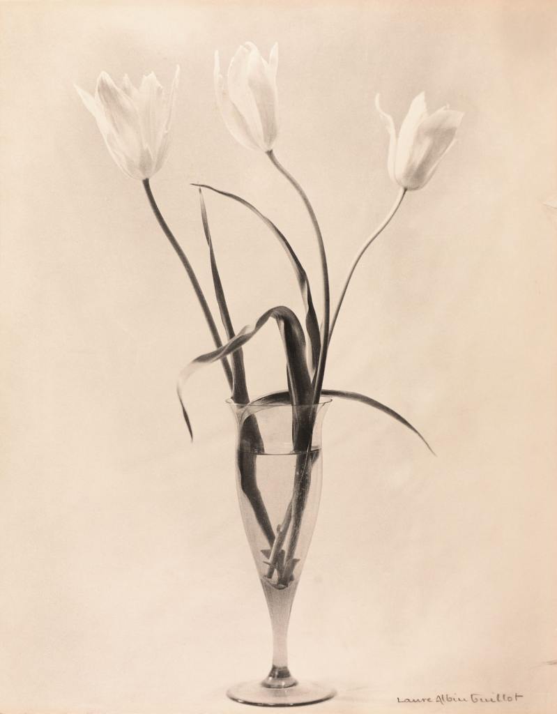 Laure Albin-Guillot :: Étude de fleurs [with vase], ca. 1930. Vintage fresson print. | src Seagrave Gallery