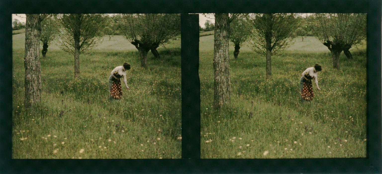 Etienne Descargues :: [Femme cueillant des fleurs dans une prairie], 1892-1914. Vue stéréoscopique. | BnF ~ Gallica