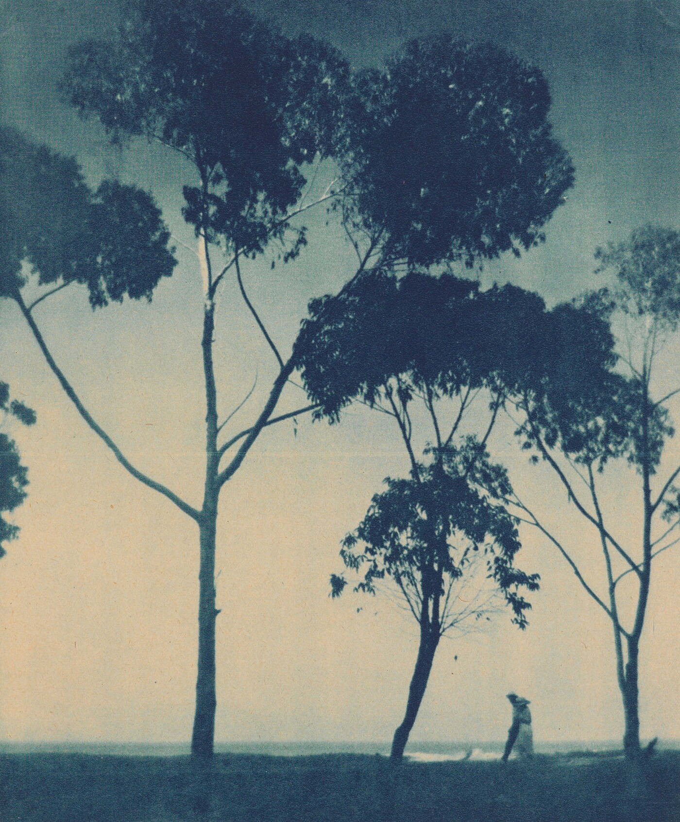 Karl Struss (1886-1981) :: Catalina Island, Touring Topics Cover; 1920s. Rotogravure. | src Amon Carter Museum P1983.23.225