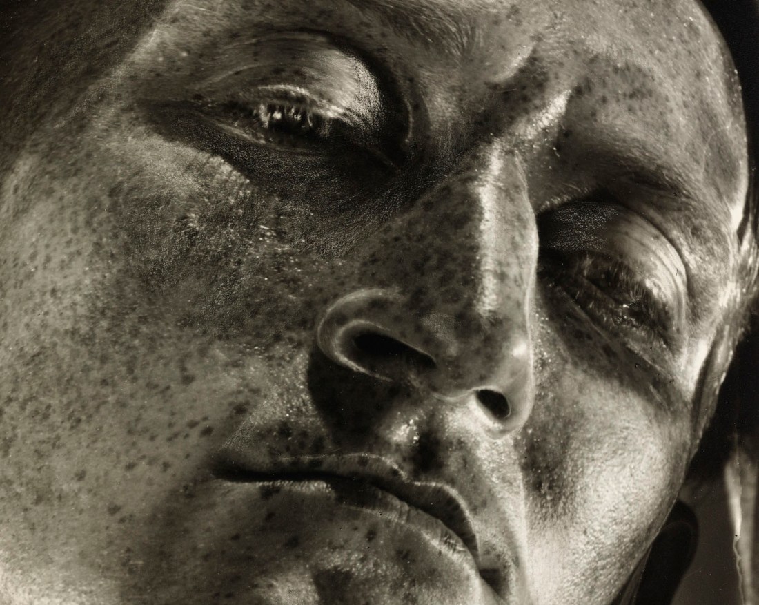 Metamorphose, Metamorphosis, Verwandlungen