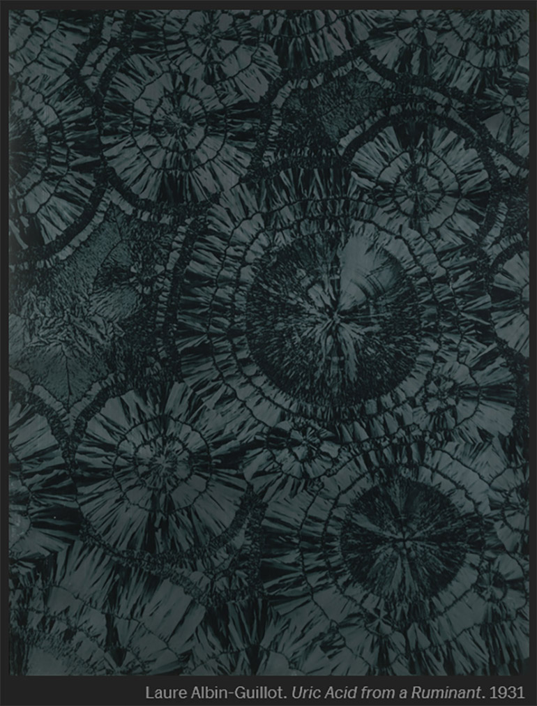 Laure Albin-Guillot :: Uric Acid from a Ruminant, from Micrographie Décorative / Decorative Photo-Micrographs, 1931. Portfolio of 20 photogravures. | src MoMA 